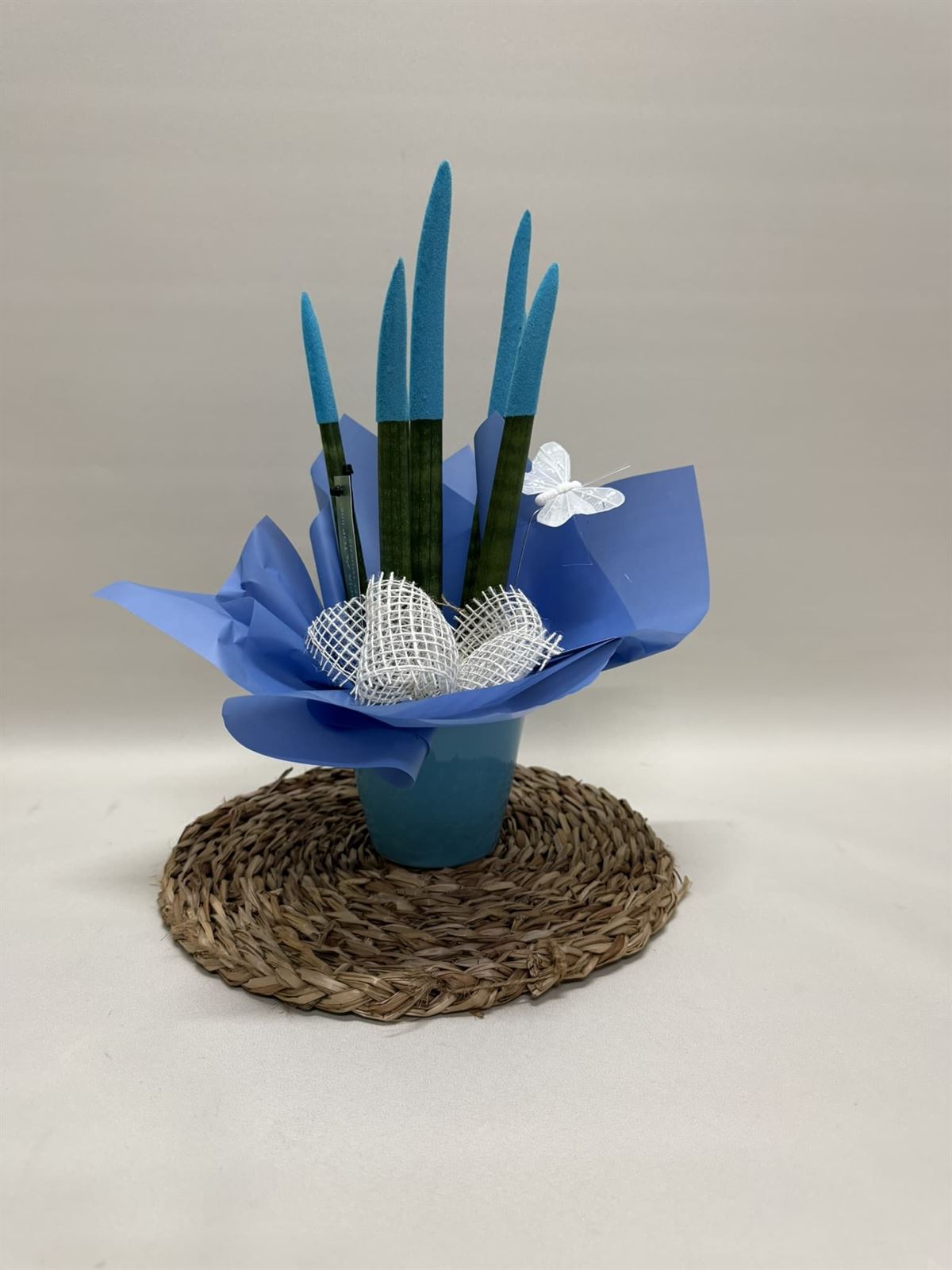Sansevieria azul - Imagen 1