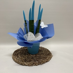 Sansevieria azul - Imagen 1