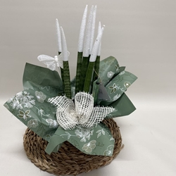 Sansevieria blanca - Imagen 2