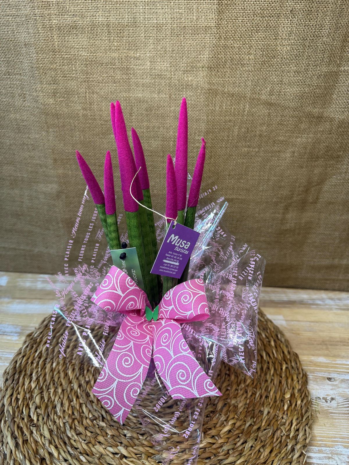 Sansevieria fucsia - Imagen 3