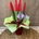 Sansevieria roja - Imagen 2