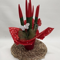 Sansevieria roja - Imagen 1