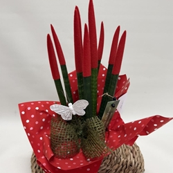 Sansevieria roja - Imagen 2