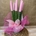 Sansevieria rosa - Imagen 1