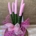 Sansevieria rosa - Imagen 2