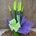 Sansevieria verde - Imagen 2