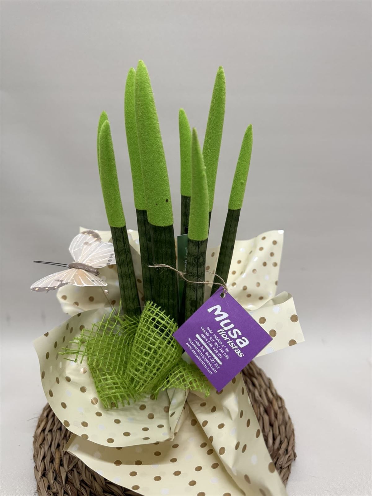 Sansevieria verde - Imagen 2
