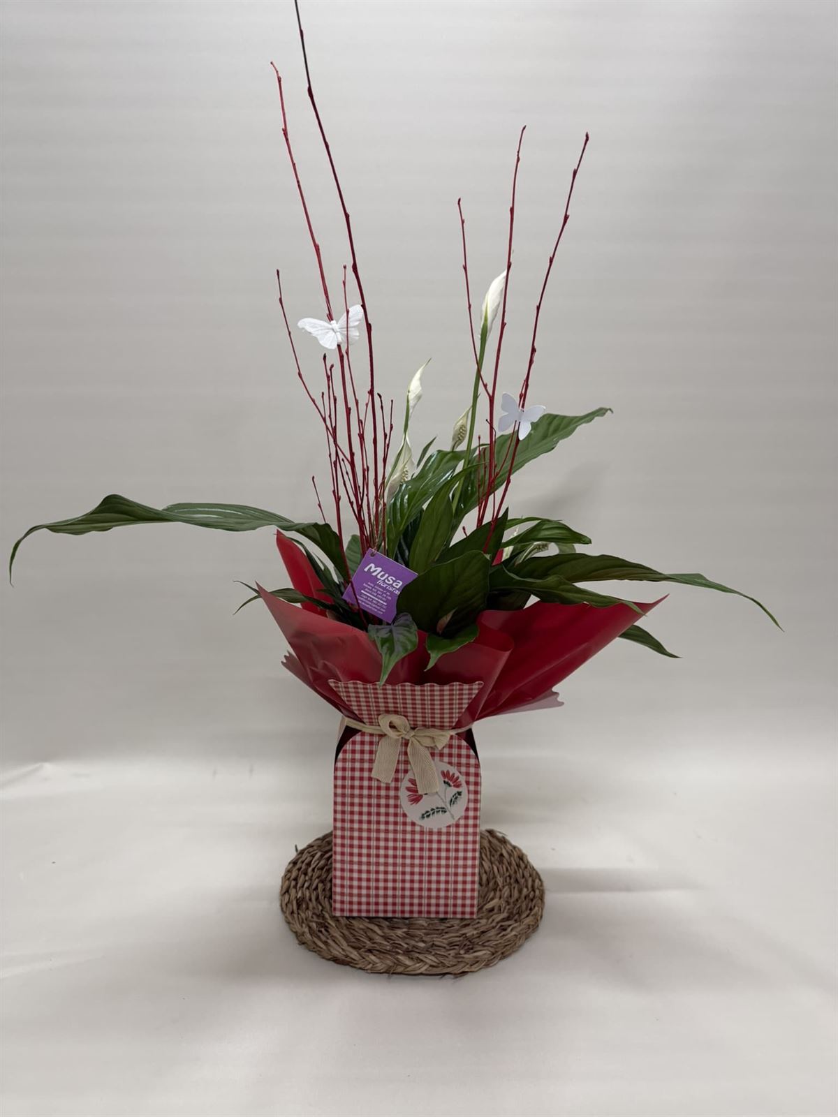 Spathiphyllum en bolsa en tono rojo - Imagen 1