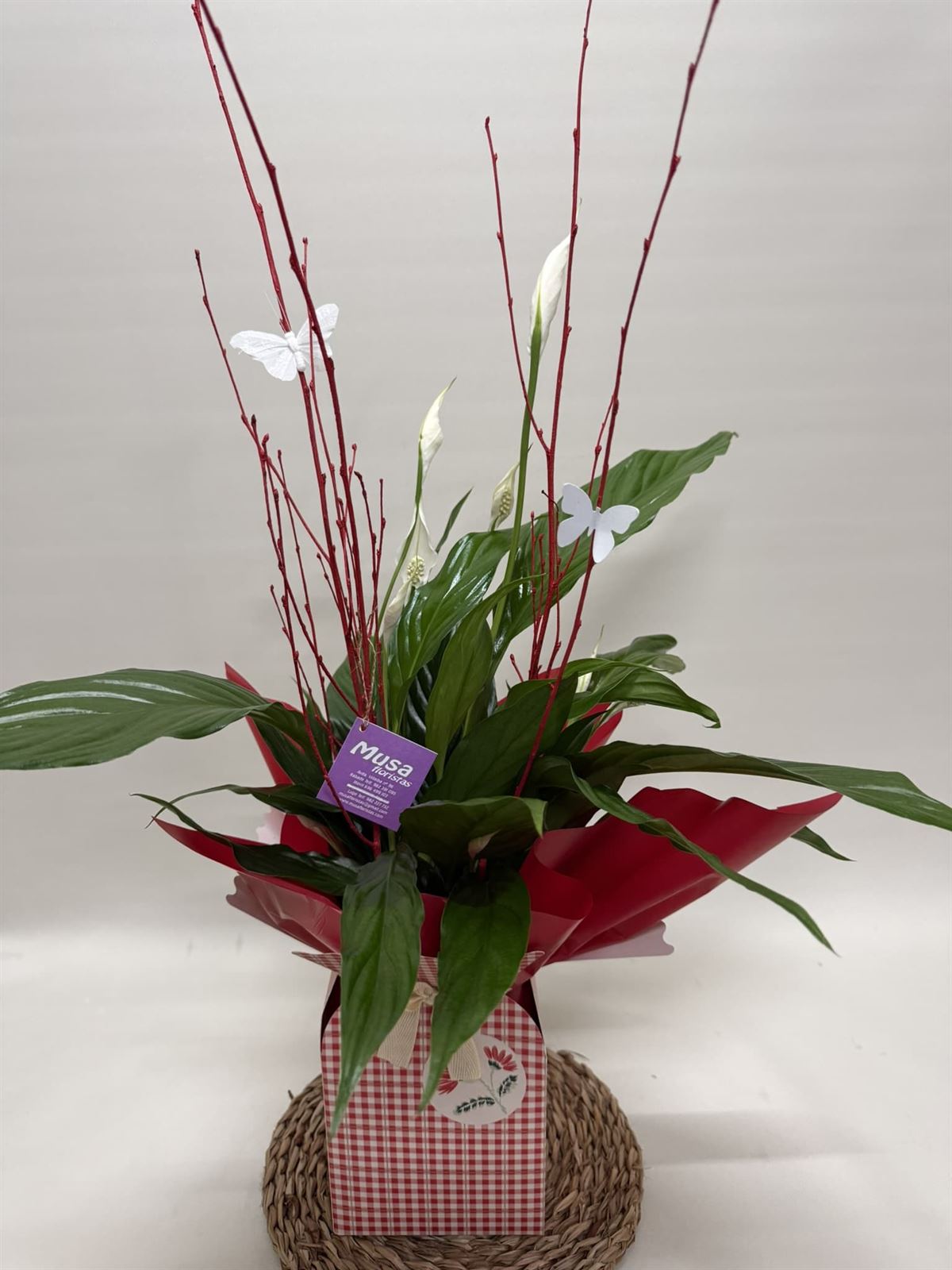 Spathiphyllum en bolsa en tono rojo - Imagen 2