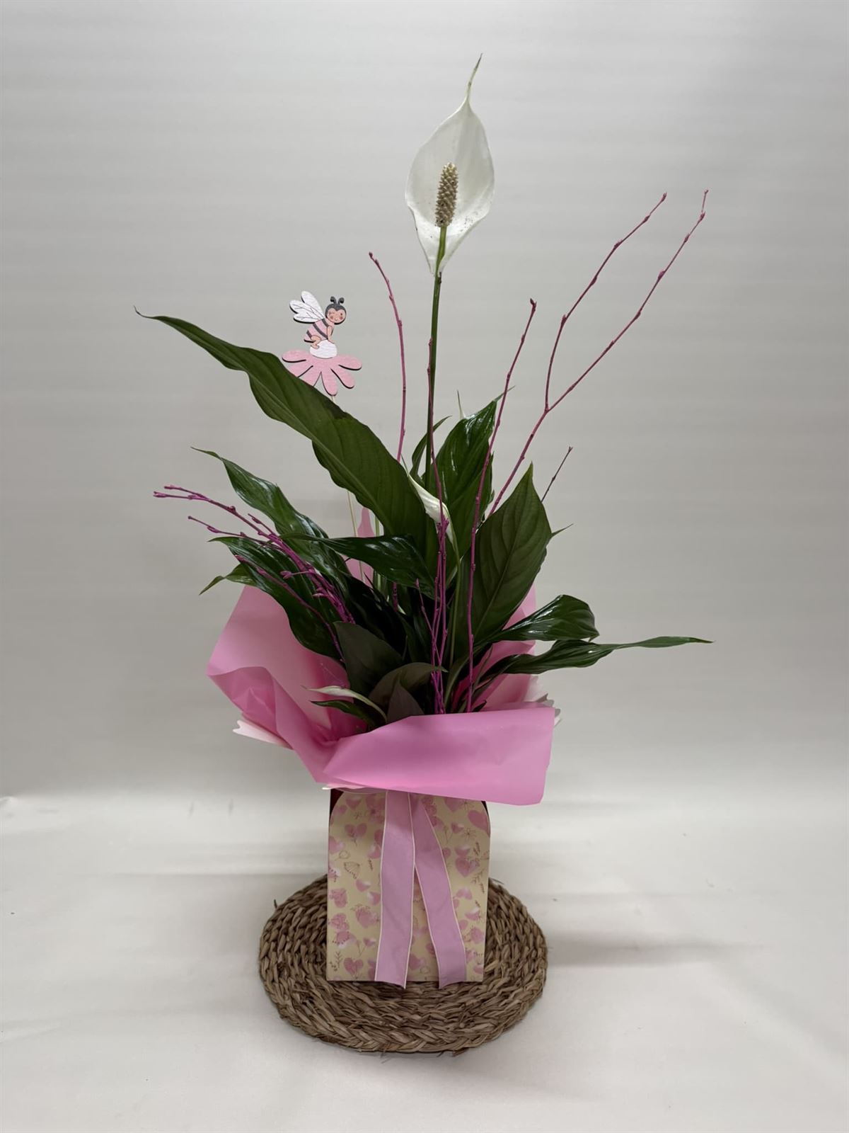 Spathiphyllum en bolsa en tono rosa - Imagen 1