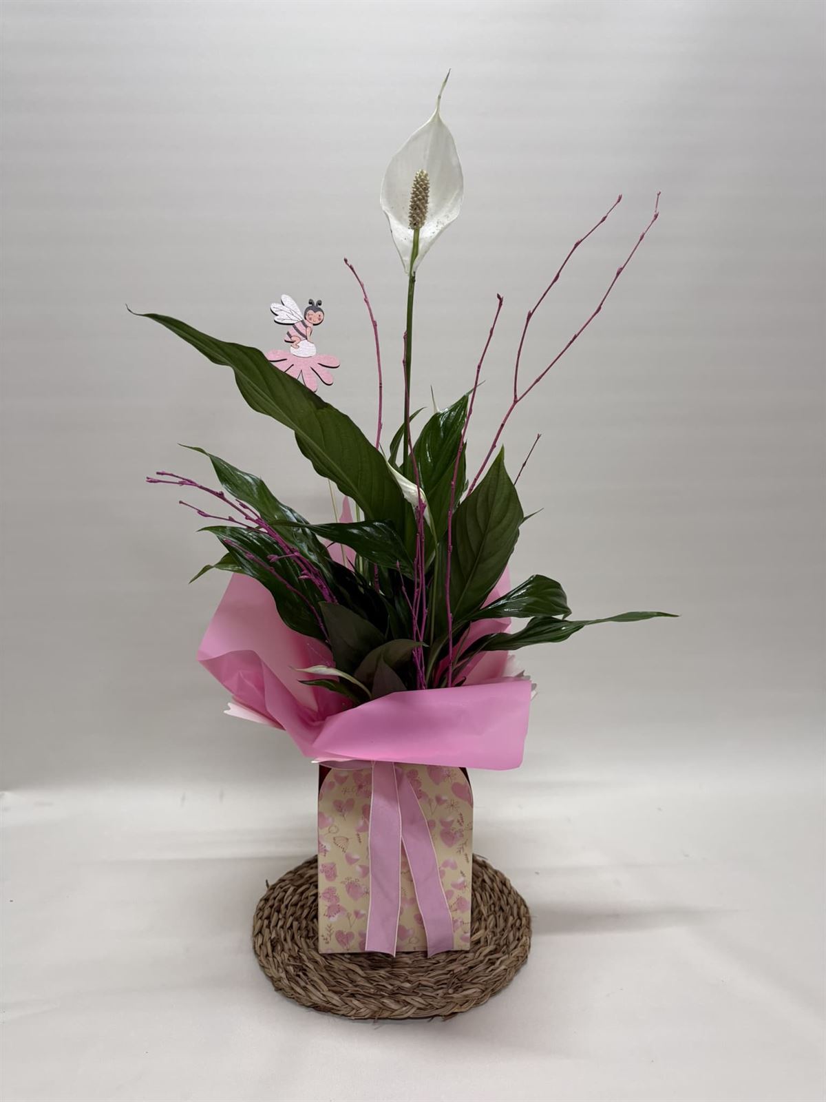 Spathiphyllum en bolsa en tono rosa - Imagen 2