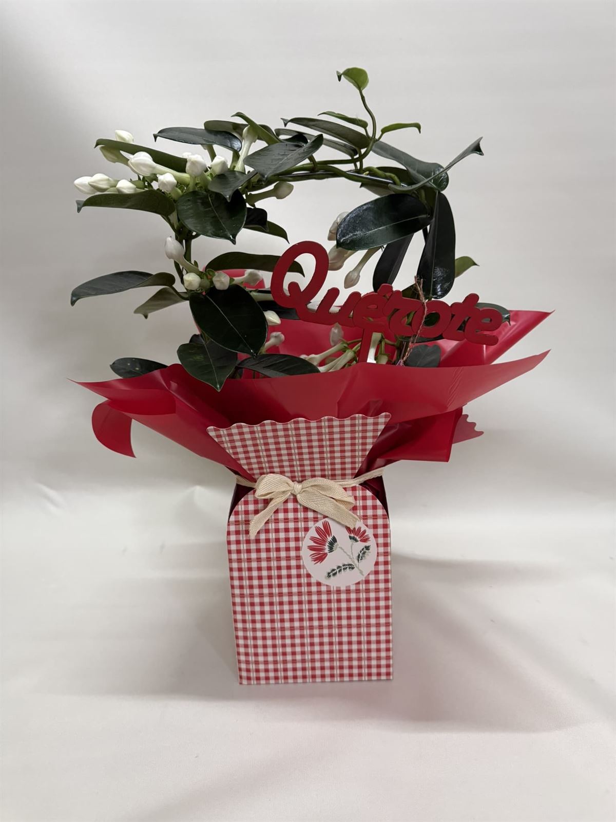 Stephanotis en bolsa - Imagen 1