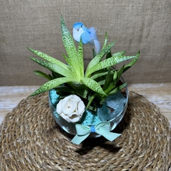 Terrario azul en pecera cortada - Imagen 2