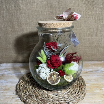 Terrario ball - Imagen 1