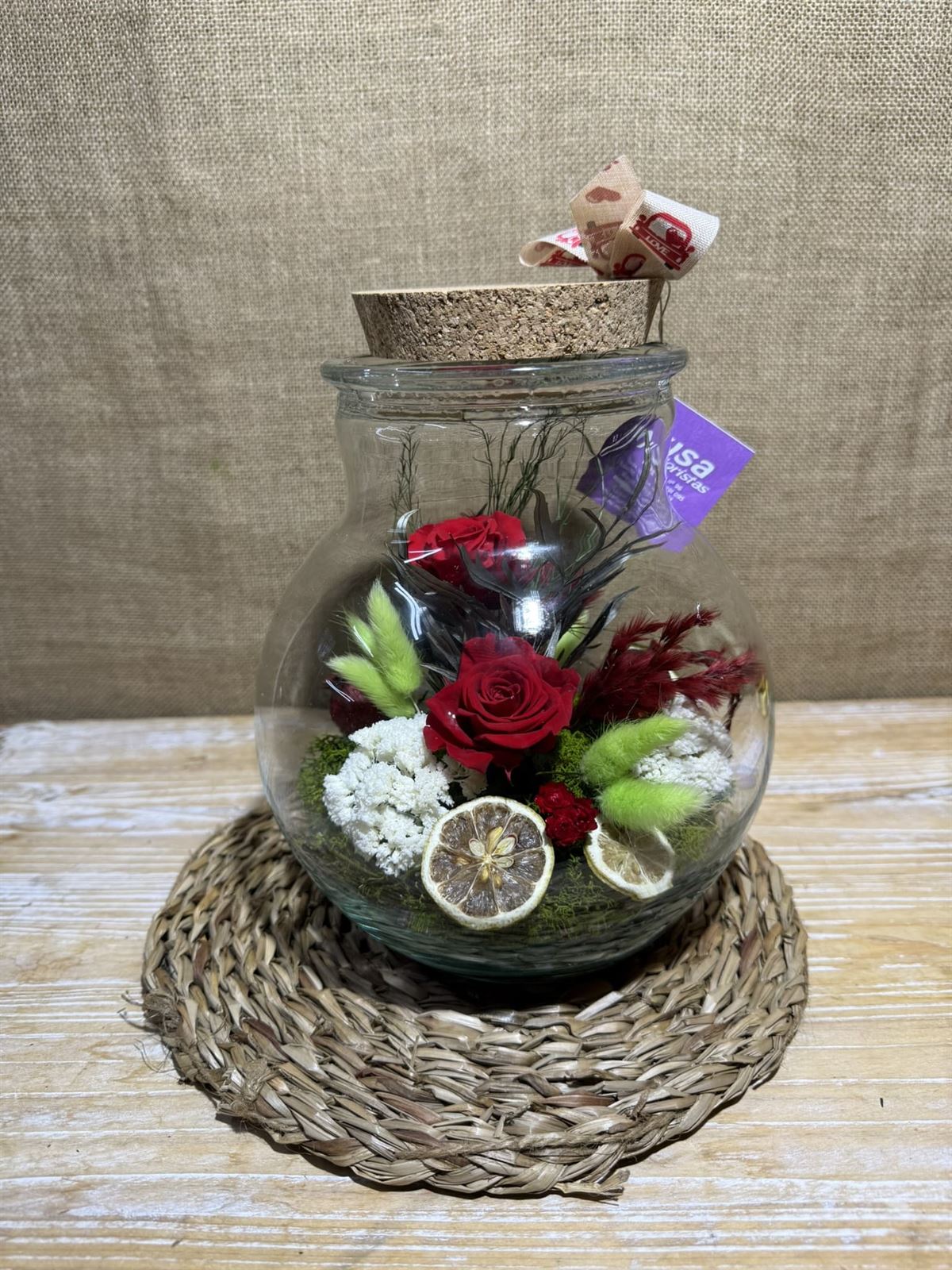 Terrario ball - Imagen 2