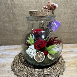 Terrario ball - Imagen 2