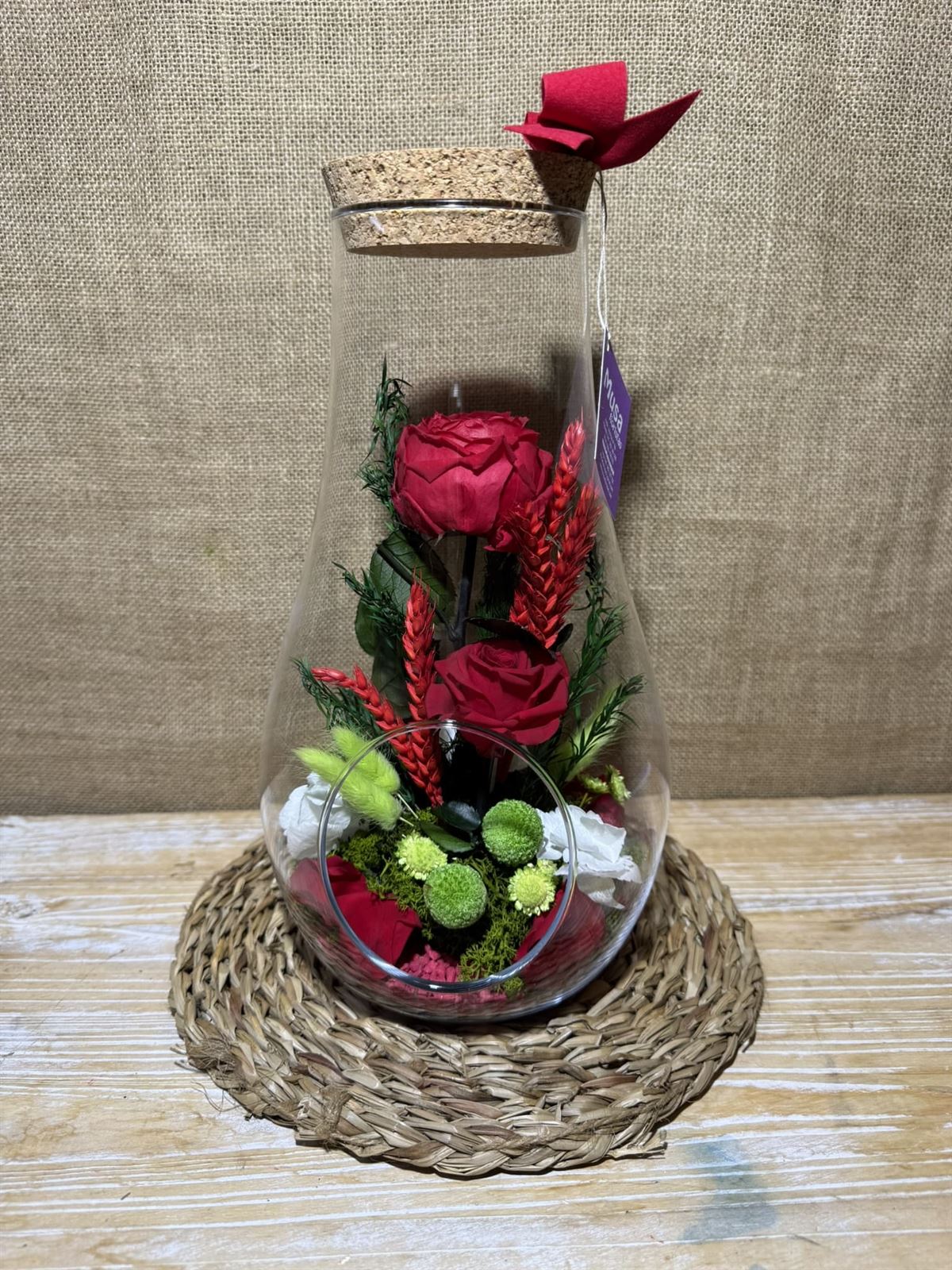 Terrario berent - Imagen 1