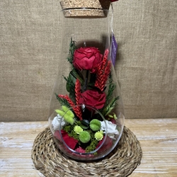 Terrario berent - Imagen 1