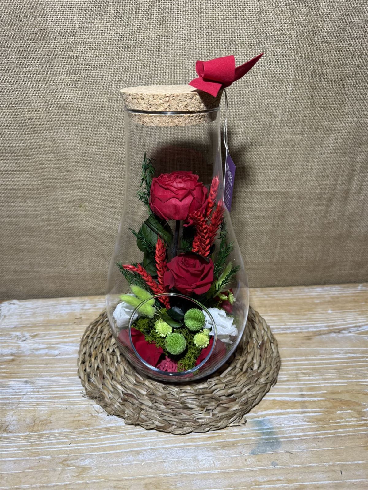 Terrario berent - Imagen 2