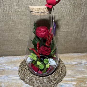 Terrario berent - Imagen 2