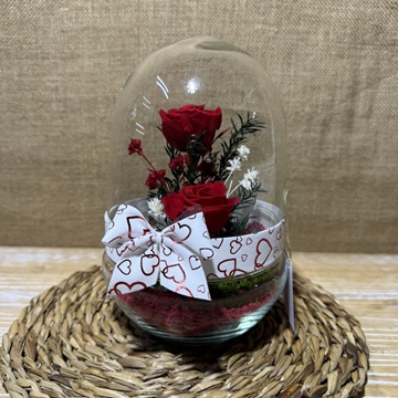 Terrario cápsula rojo - Imagen 1