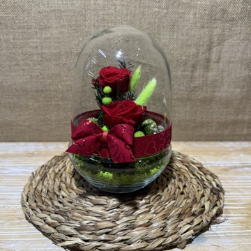 Terrario cápsula rojo - Imagen 1