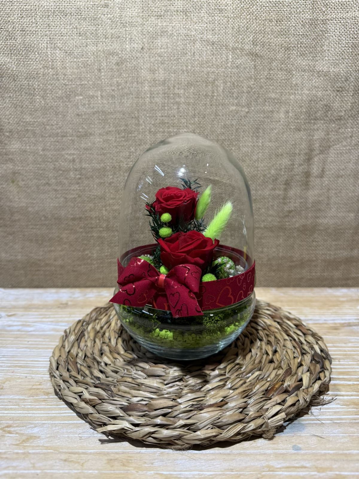 Terrario cápsula rojo - Imagen 2