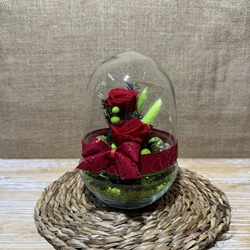 Terrario cápsula rojo - Imagen 2