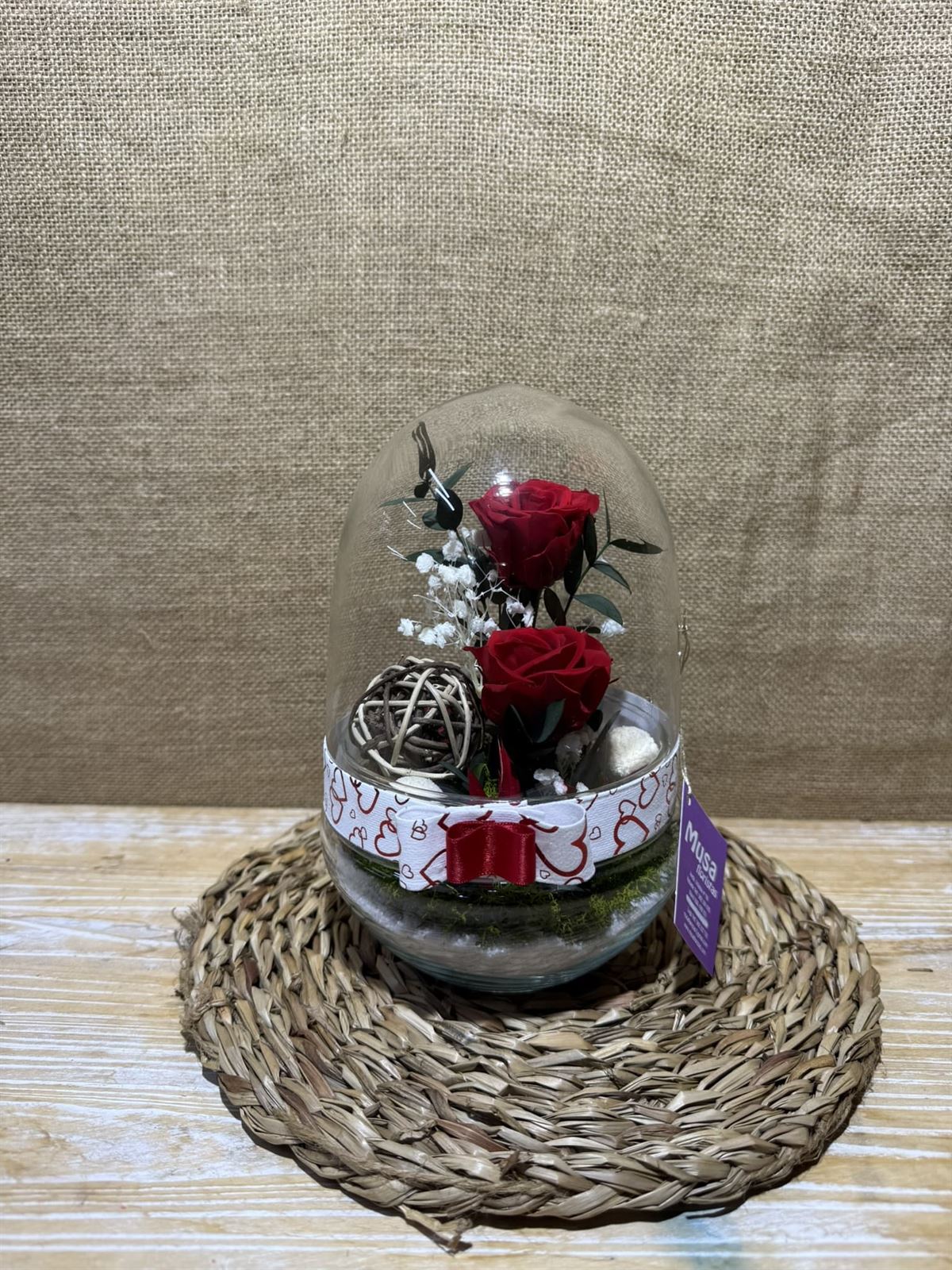 Terrario cápsula rojo - Imagen 1