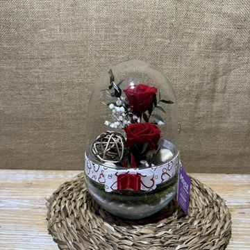 Terrario cápsula rojo - Imagen 1