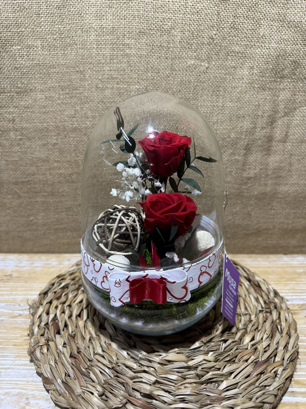 Terrario cápsula rojo - Imagen 2