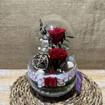 Terrario cápsula rojo - Imagen 2