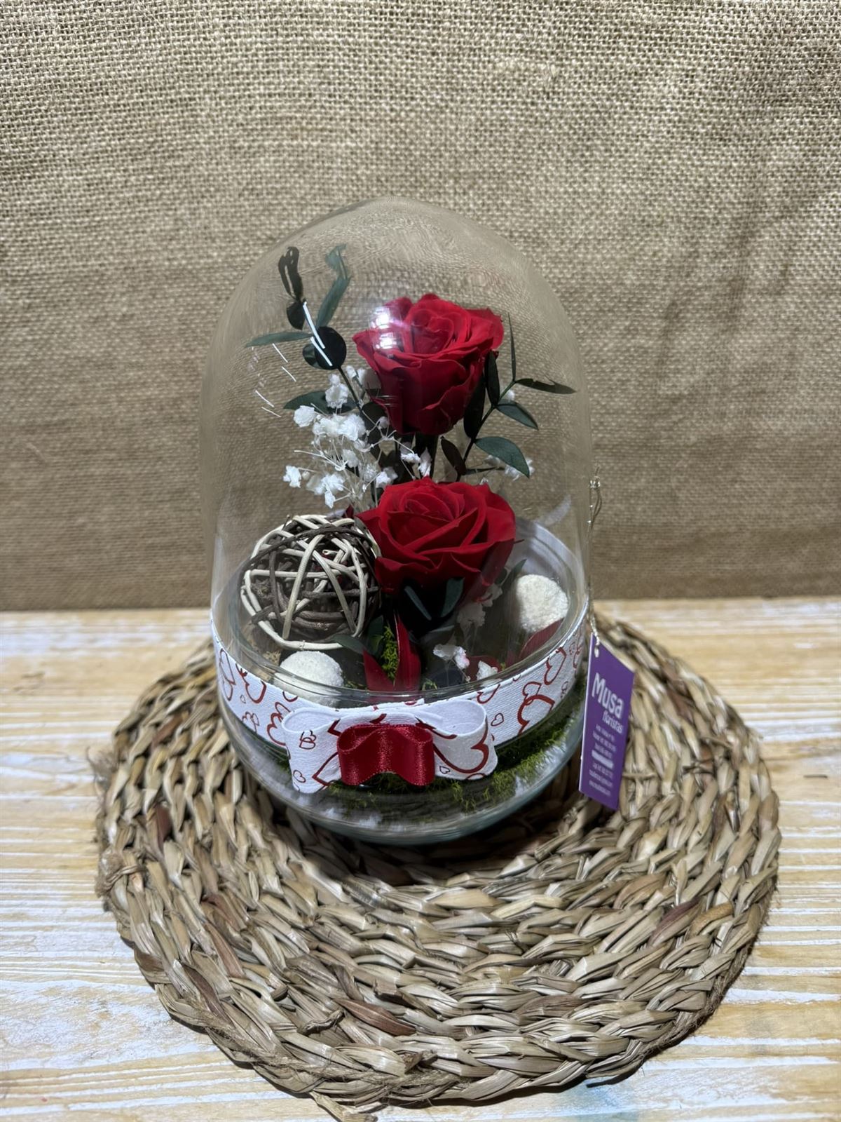 Terrario cápsula rojo - Imagen 3