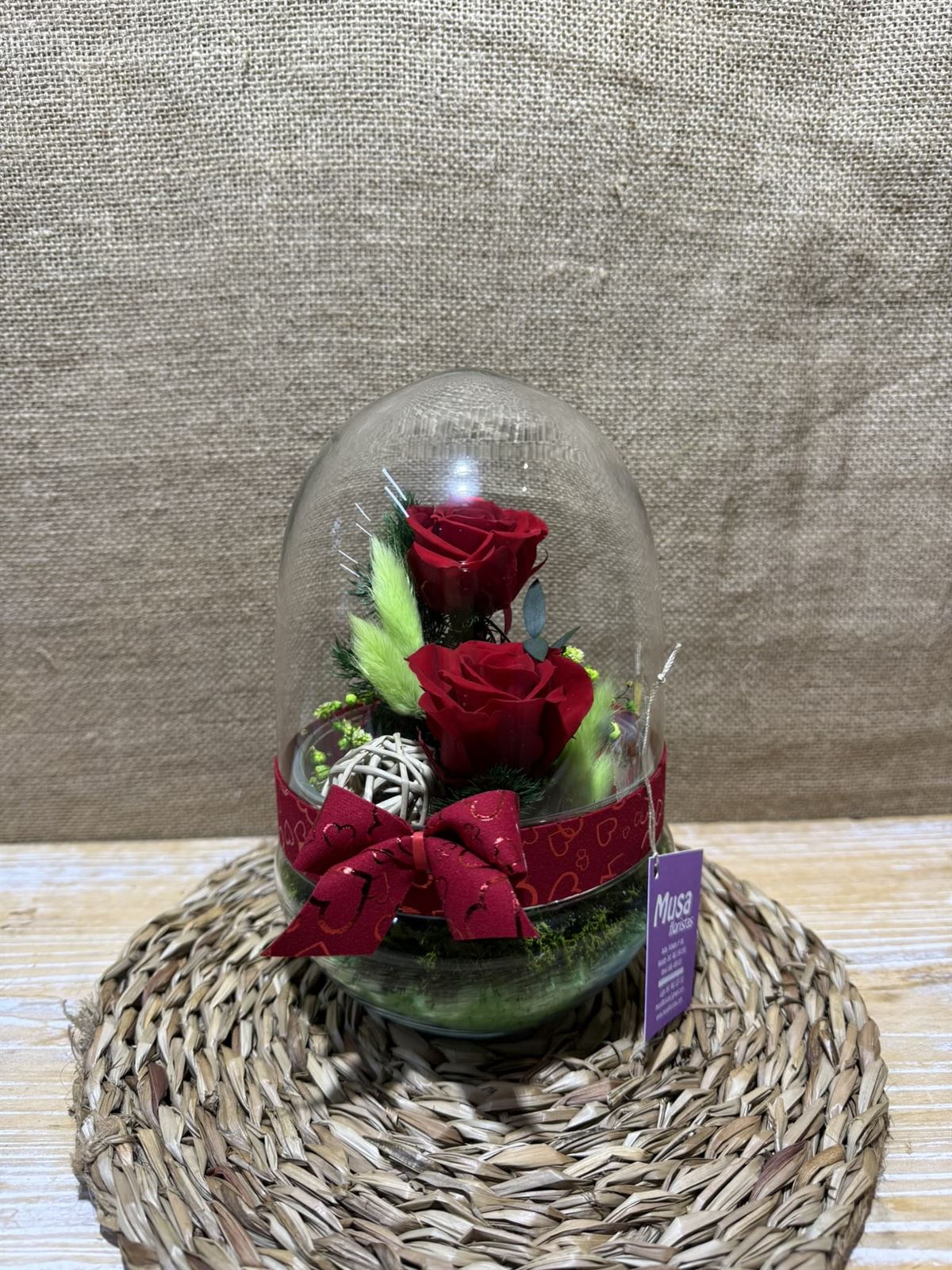 Terrario cápsula rojo - Imagen 1