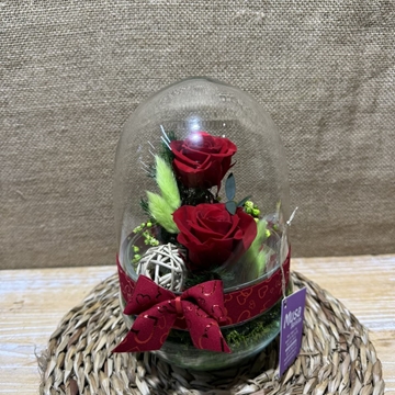 Terrario cápsula rojo - Imagen 2