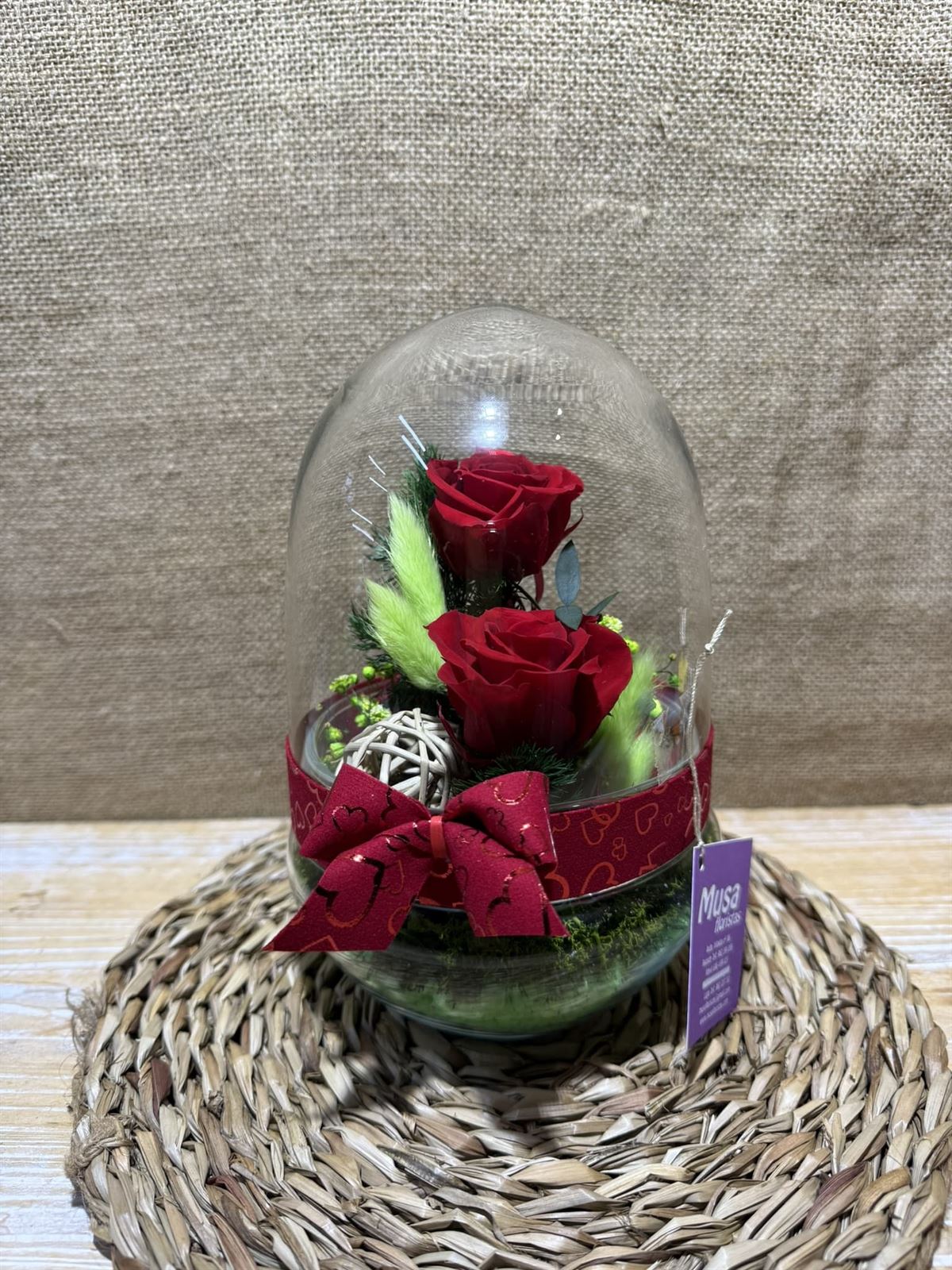 Terrario cápsula rojo - Imagen 3