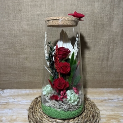 Terrario cónico invert - Imagen 1