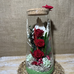 Terrario cónico invert - Imagen 2