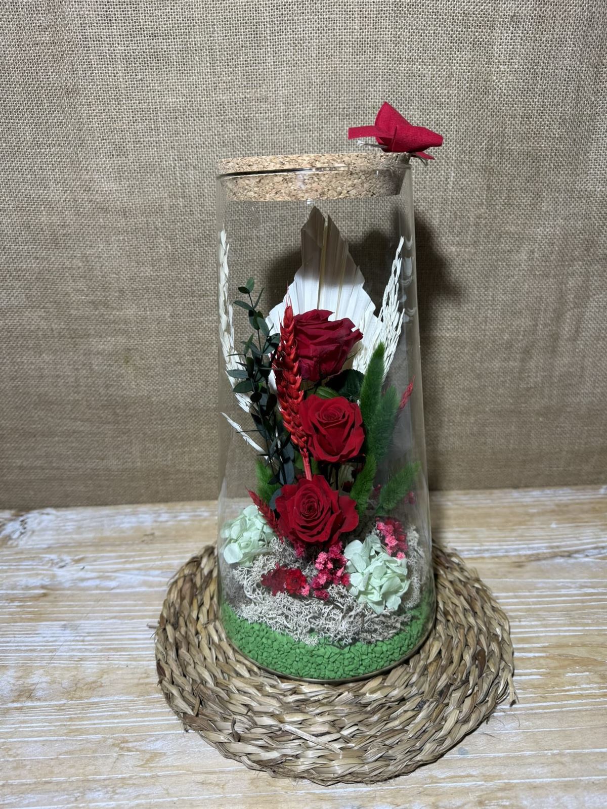 Terrario cónico invert - Imagen 3