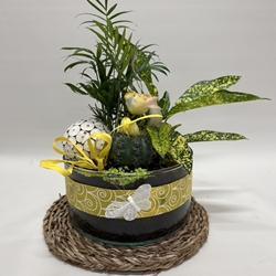 Terrario en base de cristal en tono amarillos - Imagen 1