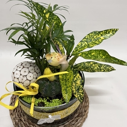 Terrario en base de cristal en tono amarillos - Imagen 2