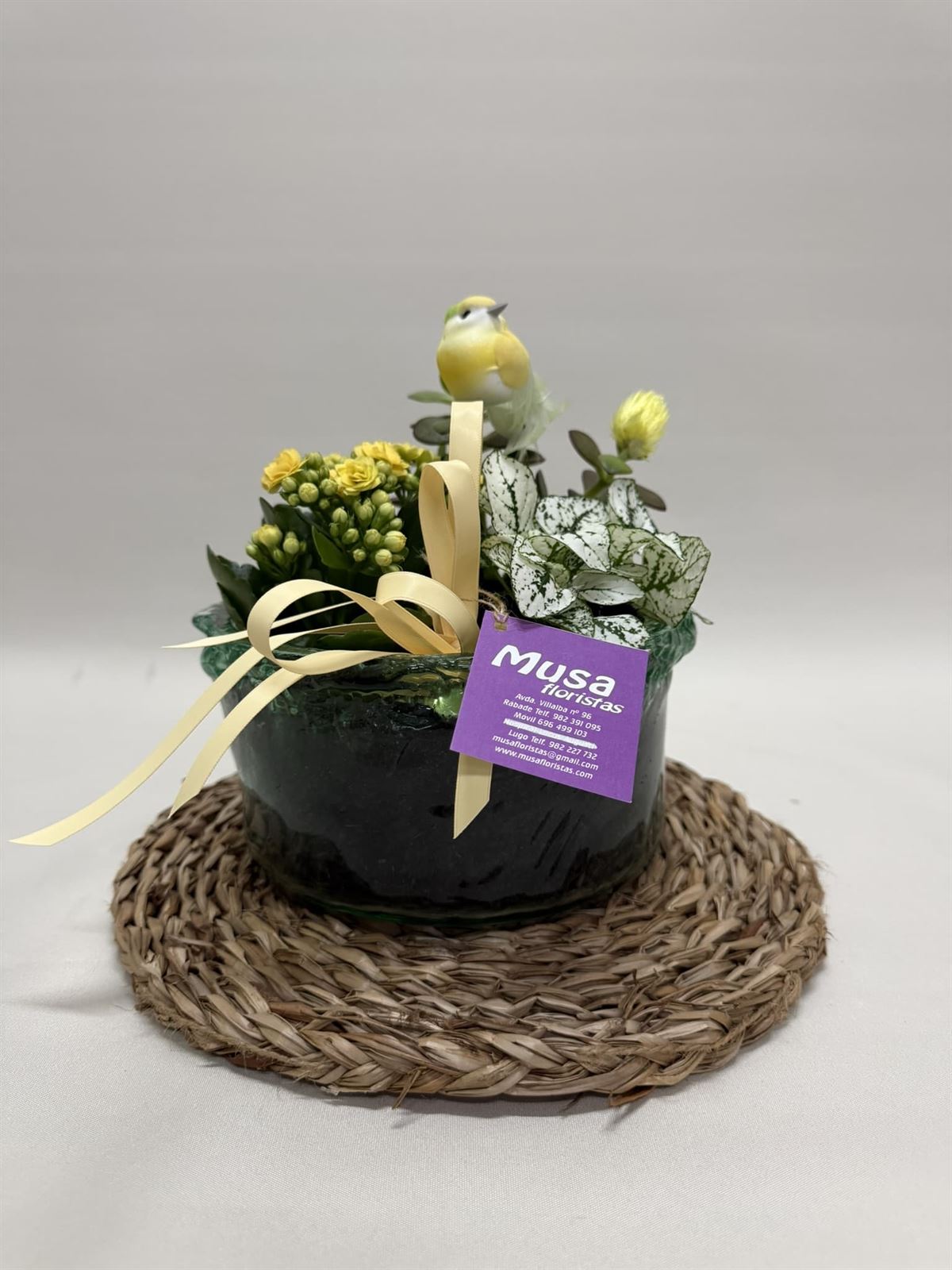 Terrario en base de cristal en tono amarillos - Imagen 1