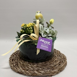 Terrario en base de cristal en tono amarillos - Imagen 1