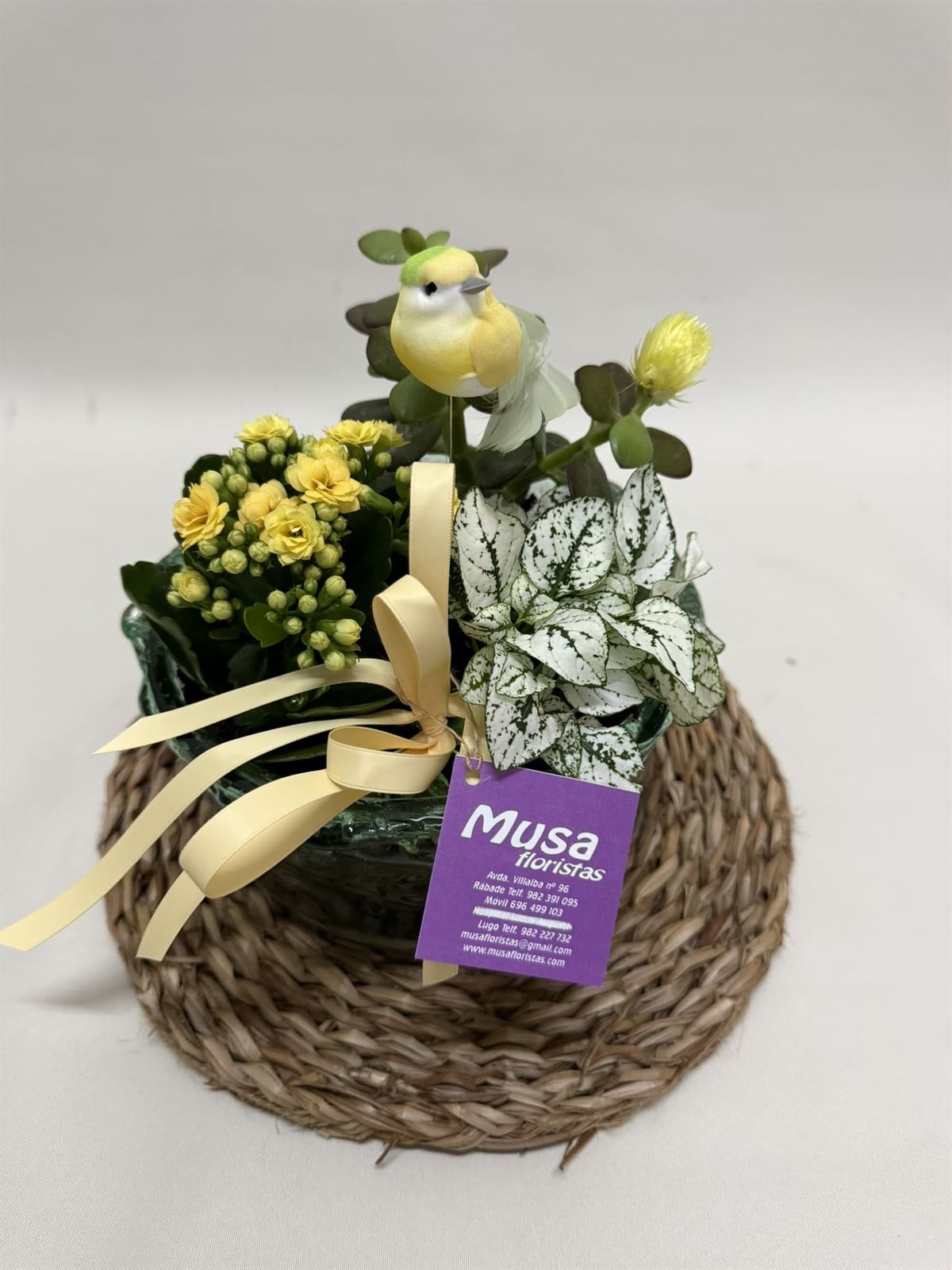 Terrario en base de cristal en tono amarillos - Imagen 2