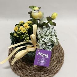 Terrario en base de cristal en tono amarillos - Imagen 2