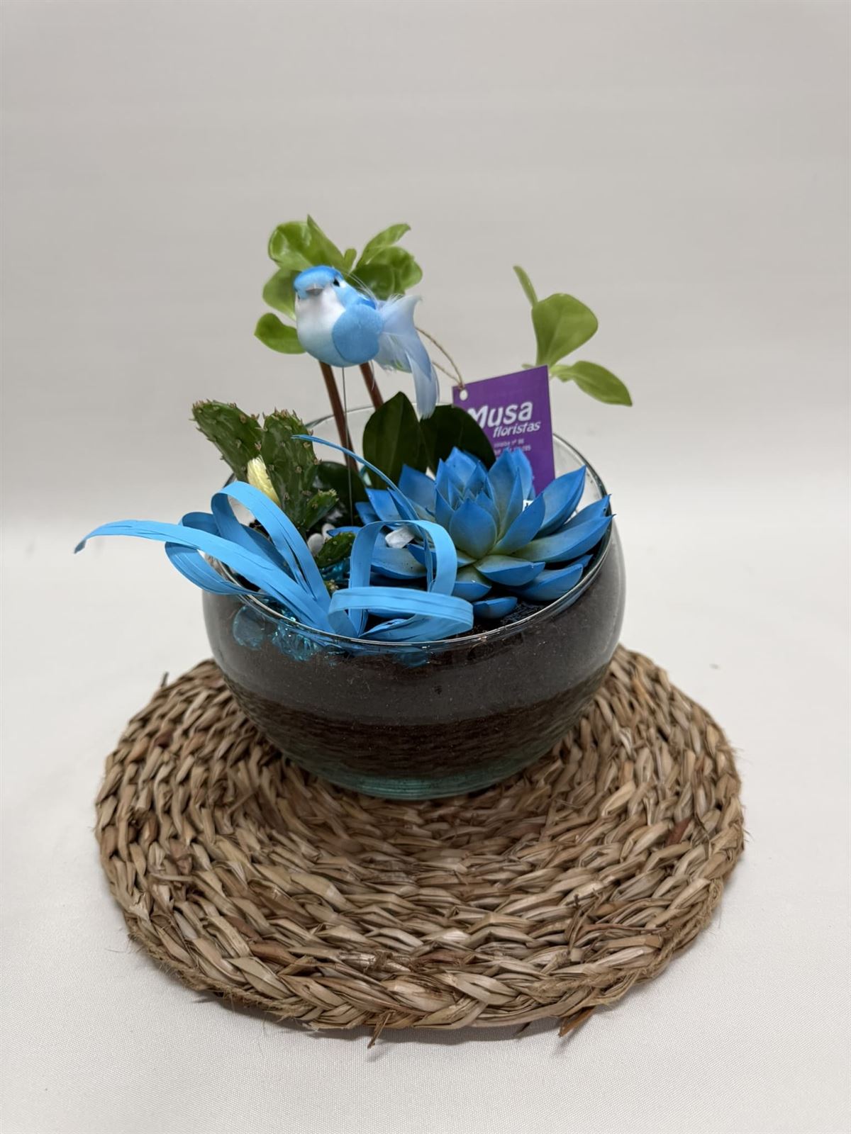 Terrario en base de cristal en tono azules - Imagen 1