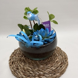 Terrario en base de cristal en tono azules - Imagen 1