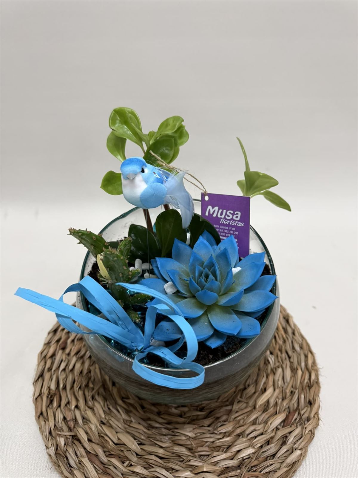Terrario en base de cristal en tono azules - Imagen 2