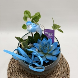 Terrario en base de cristal en tono azules - Imagen 2