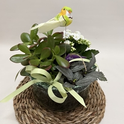 Terrario en base de cristal en tono blancos - Imagen 2